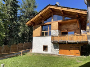 Chalet Blanchot (6-9 pers.) 